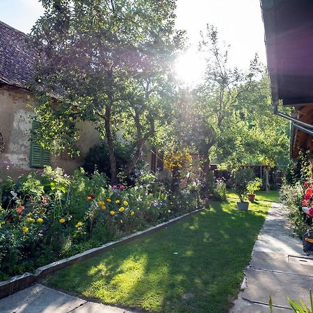 Villa Rihuini Authentic saxon house Richisu Luaran gambar