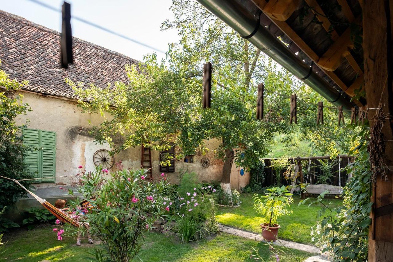 Villa Rihuini Authentic saxon house Richisu Luaran gambar