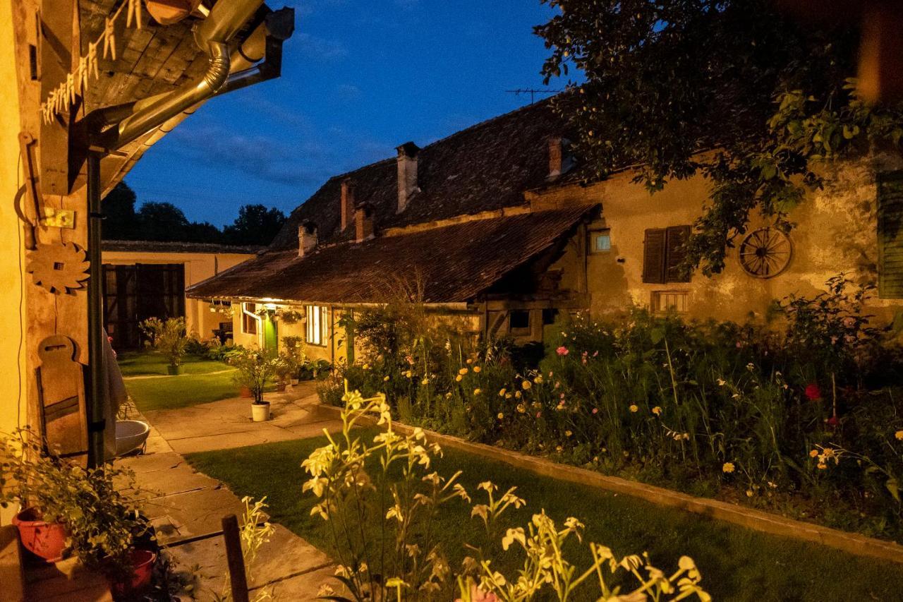 Villa Rihuini Authentic saxon house Richisu Luaran gambar
