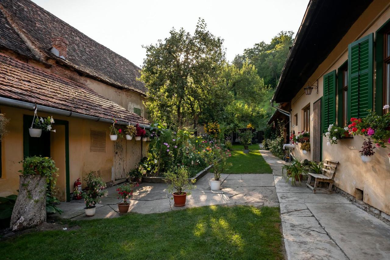 Villa Rihuini Authentic saxon house Richisu Luaran gambar