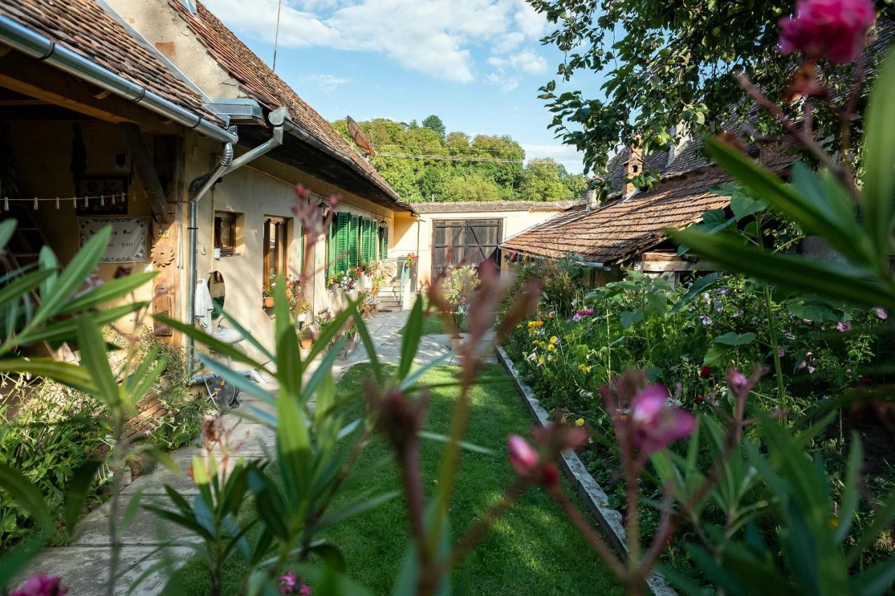 Villa Rihuini Authentic saxon house Richisu Luaran gambar