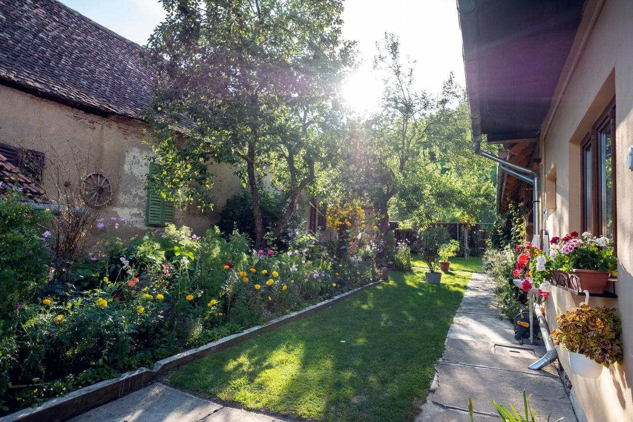 Villa Rihuini Authentic saxon house Richisu Luaran gambar